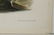 JOHN JAMES AUDUBON (NY/FRANCE, 1785-1851) - 6