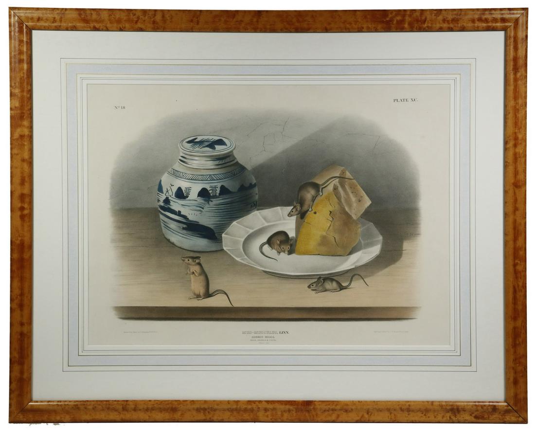 JOHN JAMES AUDUBON (NY/FRANCE, 1785-1851): Audubon Imperial Bowen Edition, "Quadrupeds of North America", Philadelphia, 1845 "Common Mouse, Male, Female & Youth." No. 18, Plate No. XC, hand colored lithograph, in bird's-eye maple frame with Fr