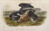 AUDUBON’S BIRDS OF AMERICA, FINAL OCTAVO EDITION, - 5