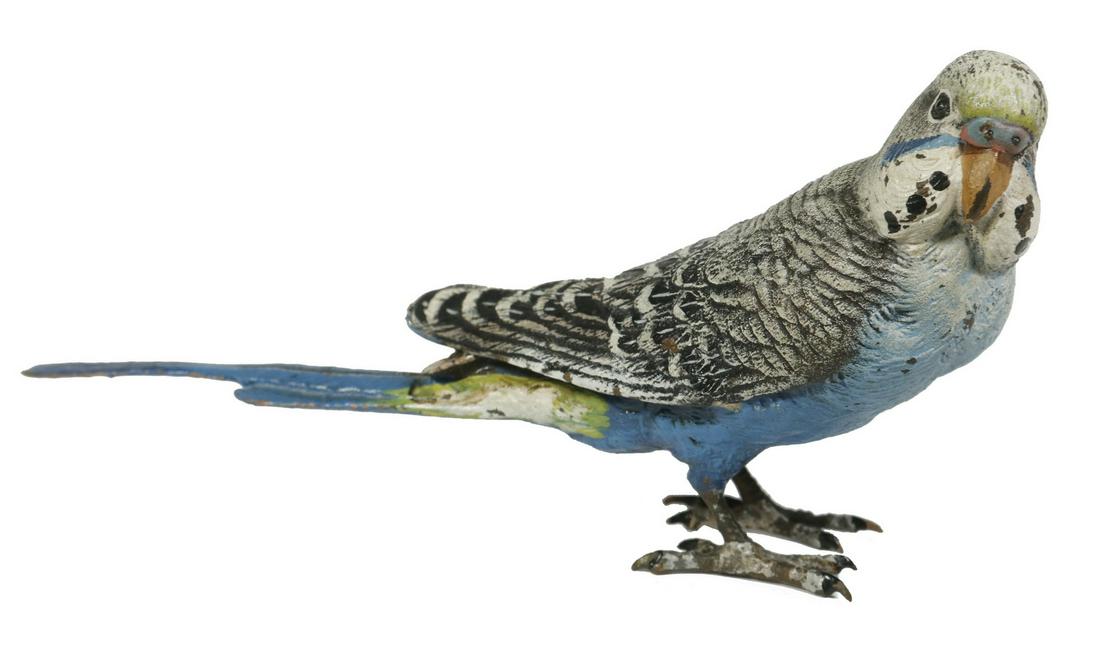 FRANZ XAVIER BERGMANN (AUSTRIA, 1861-1936) BRONZE: Austrian Cold Painted Bronze Depicting a Standing Budgerigar or Parakeet, blue, white and black feathers, stamped with Bergmann's B in urn mark, 'Austria', and a diamond mark on base, original painted