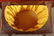 SHERATON MAHOGANY WORK TABLE - 6