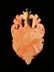 ANTIQUE VICTORIAN CORAL PENDANT - 2