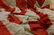 ROGERS/MCKINLEY 45-STAR US FLAG - 4