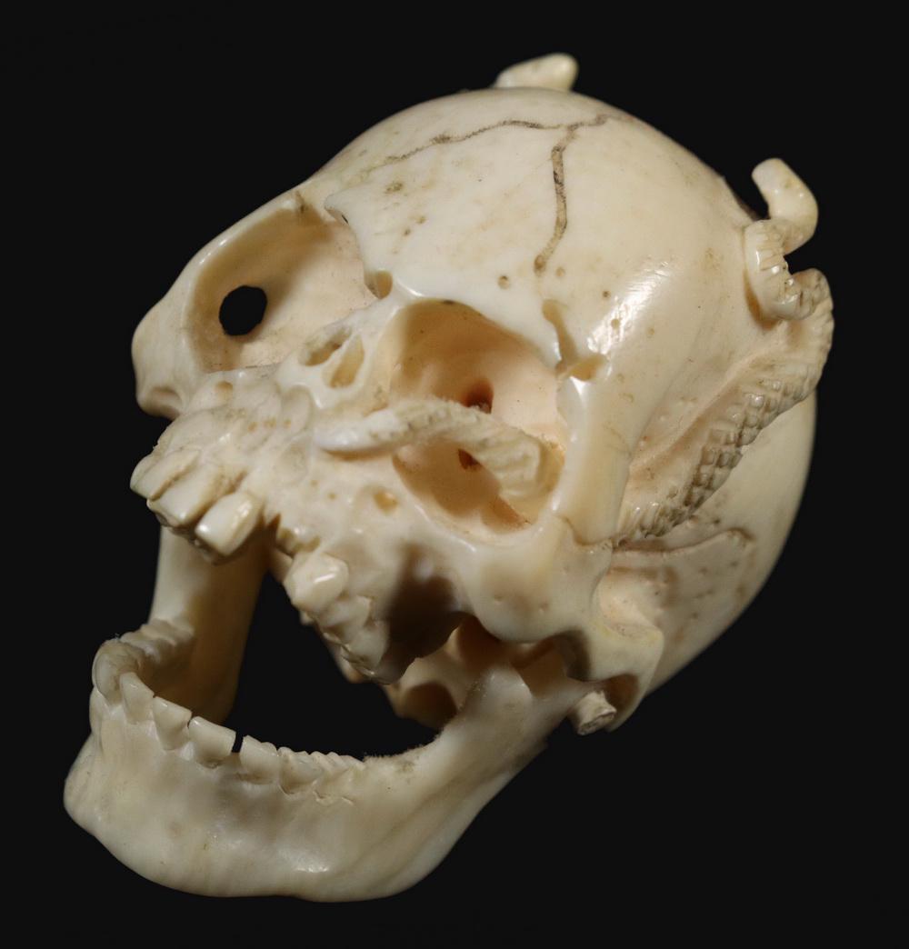 JAPANESE SKULL OKIMONO: Japanese Meiji Period Carved Okimono, depicting a human skull with snake and frog, incredibly detailed with articulated jaw, 1 1/4" x 3/4" x 1 1/4". Jaw crack. Provenance: Collections of Vincent Astor
