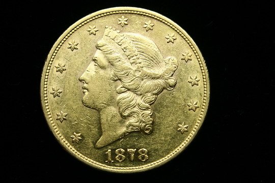 Liberty Head 20 Dollar Gold Coin 1878