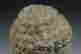 item-91762659=5