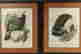 item-97517680=2