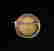 item-105631440=2
