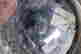 item-105631529=3