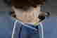 item-116720564=3
