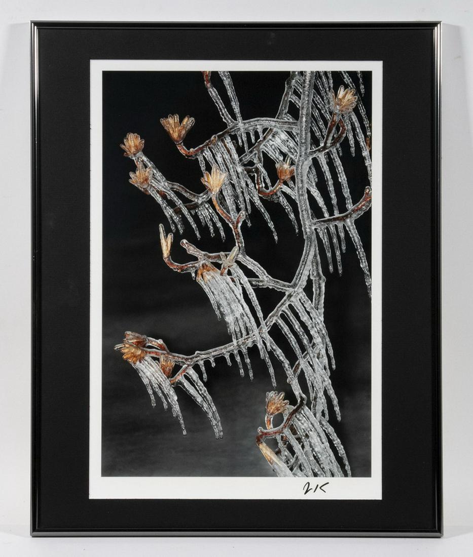 JON KOLKIN (ME/NC, 1951 - ) (1 of 3)