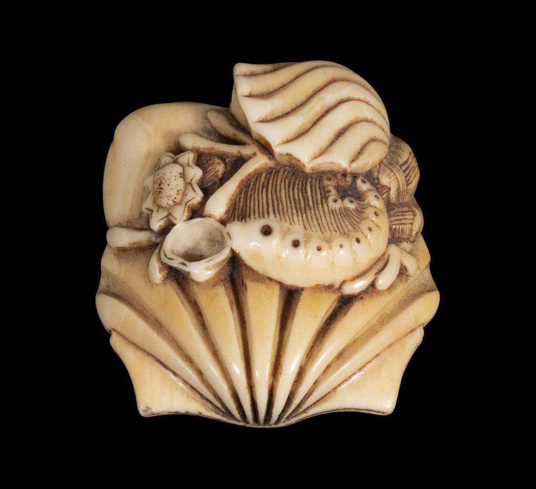 19TH C. JAPANESE IVORY NETSUKE: A Cluster of Various Sea Shells, signed, 1/2" x 2" x 2", nice patina.
