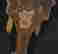 item-129070433=2