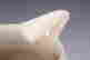 item-130459225=6