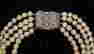 item-130459960=2