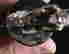 item-130460016=5