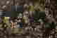 item-130460349=2