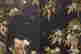 item-130460349=3