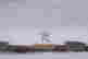 item-133250716=3