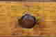 item-133251856=5