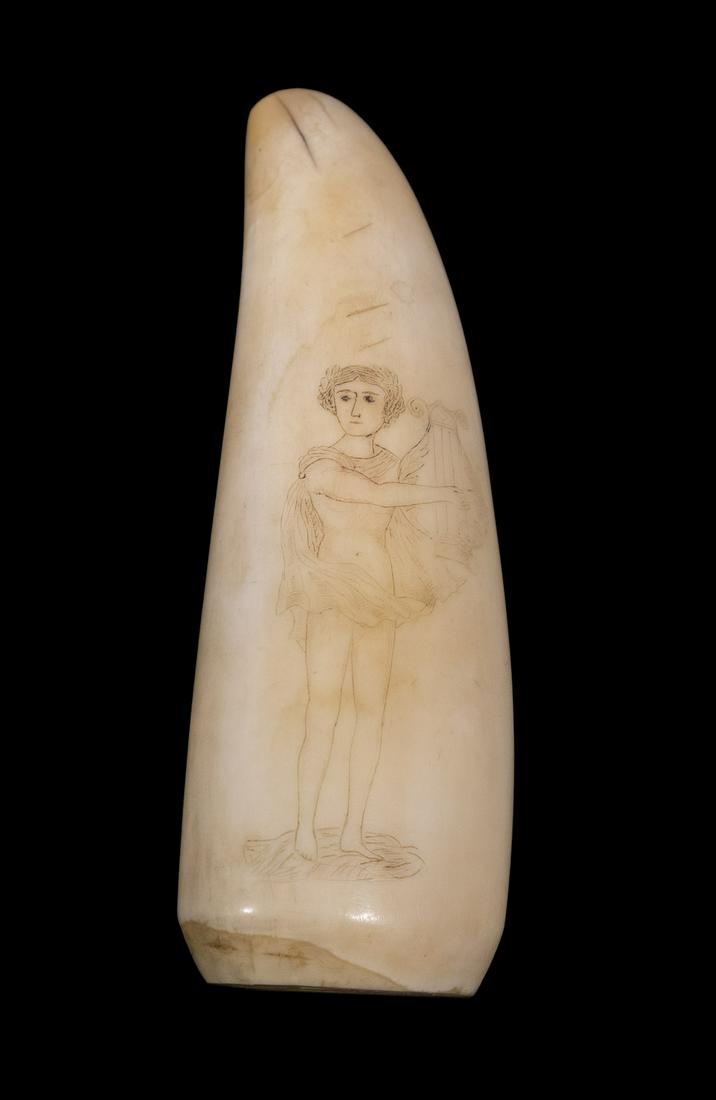 19TH C. SCRIMSHAW WHALE'S TOOTH: Delicately rendered, having a Young Lady in Ballet Dress playing a harp on one side; a pedestal vase of flowers on the other, 5", fine condition.