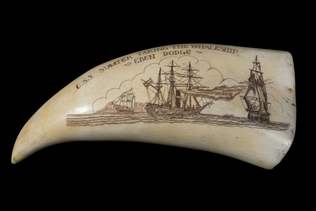 SCRIMSHAW WHALE'S TOOTH: Engraved Whale's Tooth, depicting a Civil War naval scene titled "C.S.S. Sumter Taking the Whaleship Eben Dodge" (after the watercolor painting by William Frederick Mitchell, UK, 1845-1914), the rever