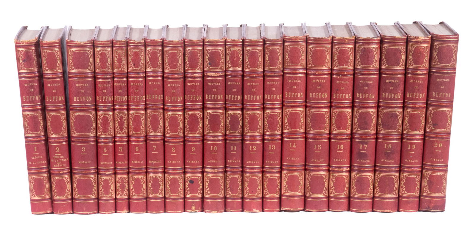 (20)-VOLUME SET OF COMTE DE BUFFON NATURAL HISTORY IN FRENCH, FINE ILLUSTRATIONS (1 of 4)