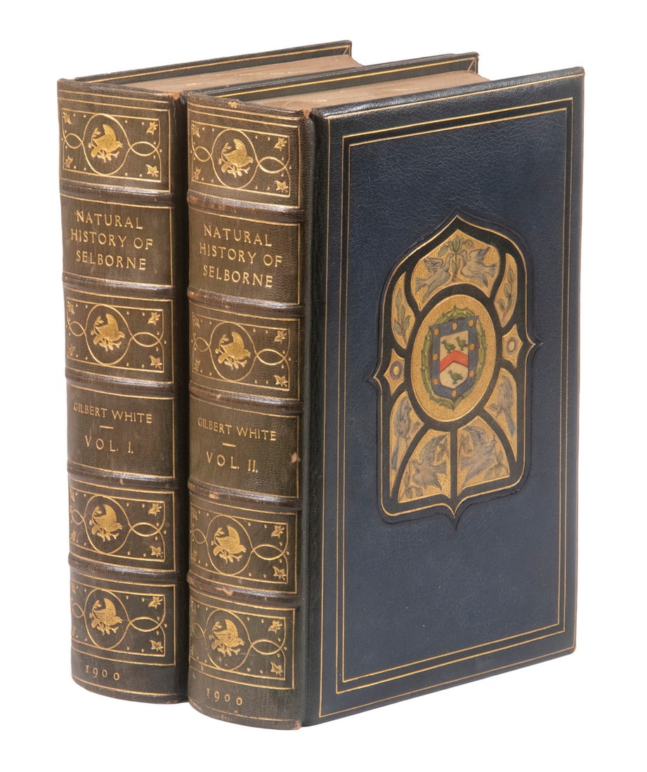 (2 VOL SET) ENGLISH NATURAL HISTORY & ANTIQUITIES, FINE BINDINGS (1 of 3)