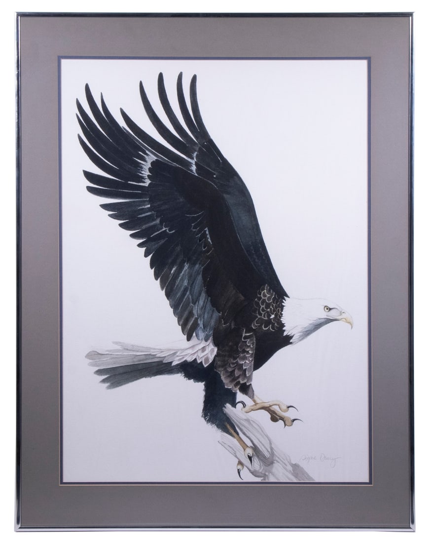 SIGNE DRURY (20TH C. AMERICAN): Bald Eagle Alighting on a Branch, watercolor on Arches paper, signed lower right, in chrome casement frame, matted under glass, OS: 32" x 24 1/2", SS: 26" x 19".