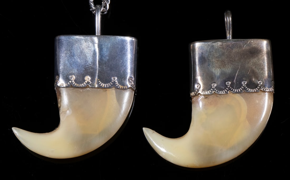 2 SILVER MOUNTED LION CLAW PENDANTS WITH CHAIN (1 of 1)