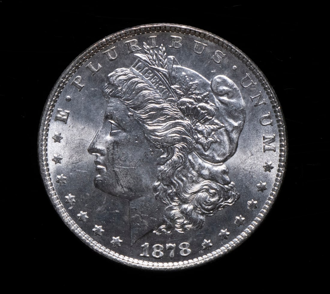 1878 MORGAN DOLLAR (1 of 2)