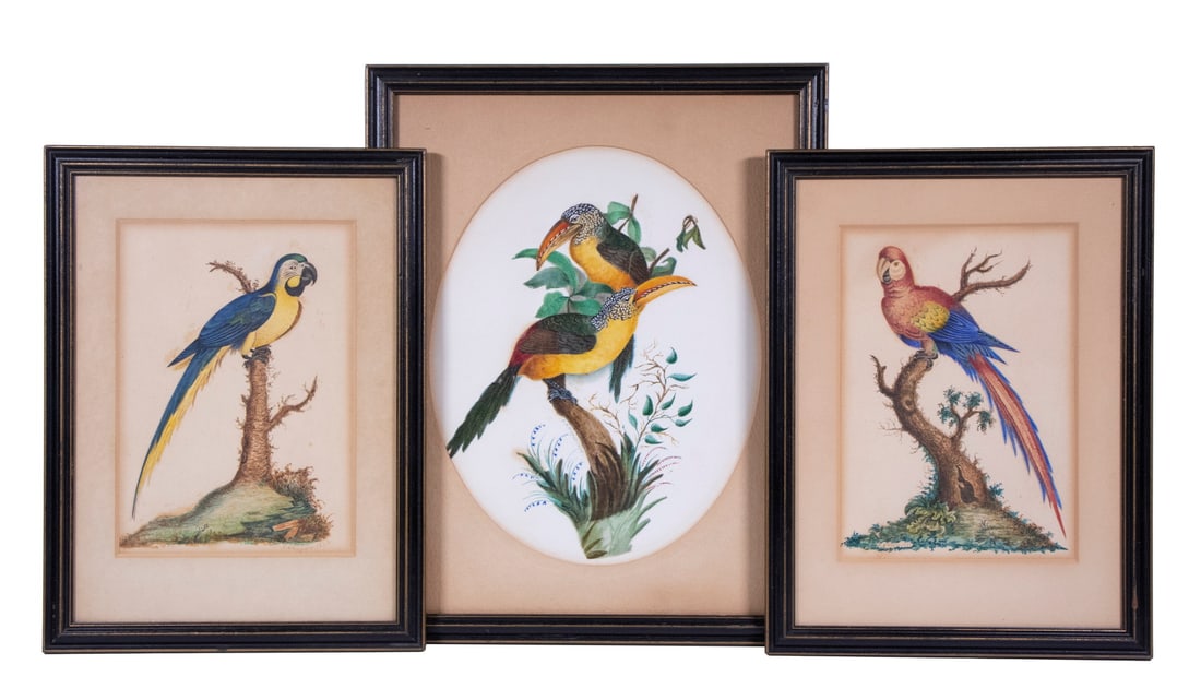 (3) GOUACHE & WATERCOLOR PORTRAITS OF EXOTIC BIRDS, FRAMED (1 of 7)