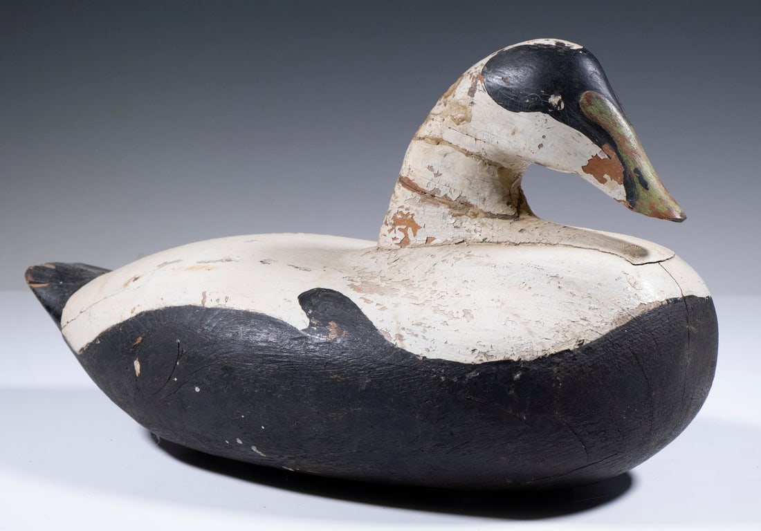 EIDER DUCK DECOY: Oversized Eider Drake, most likely from Deer Isle, ME; this bird features a big bold body, inletted head, and wonderful sculptural form that is classic Maine, with old in-use repaint, 8 1/2" high, 16"