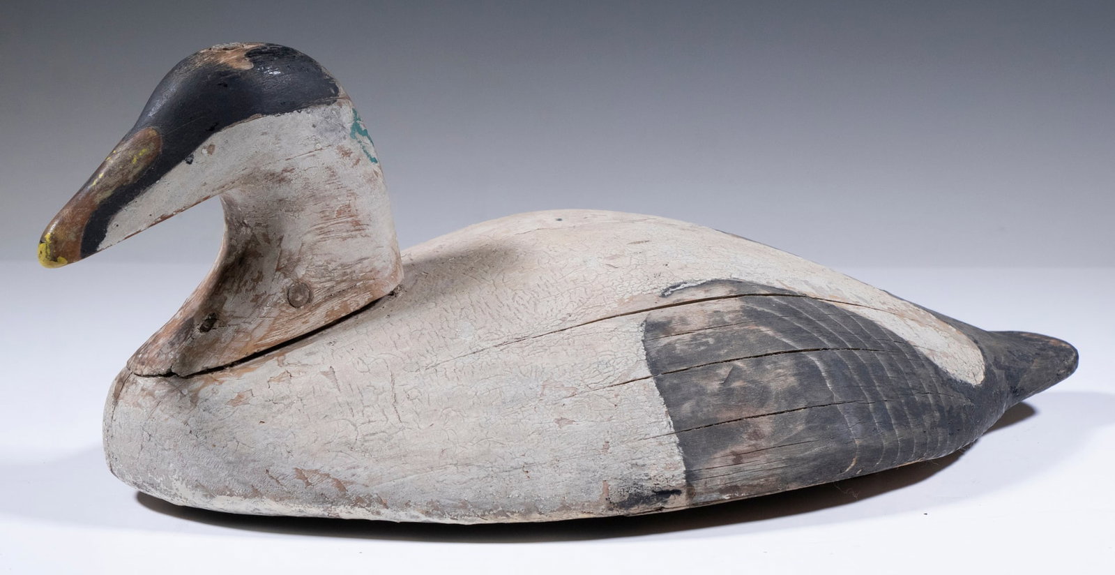 EIDER DUCK DECOY: Nice Nova Scotia Turtleback Eider Drake, structurally sound in worn original paint, 6 1/4" high, 16" long.