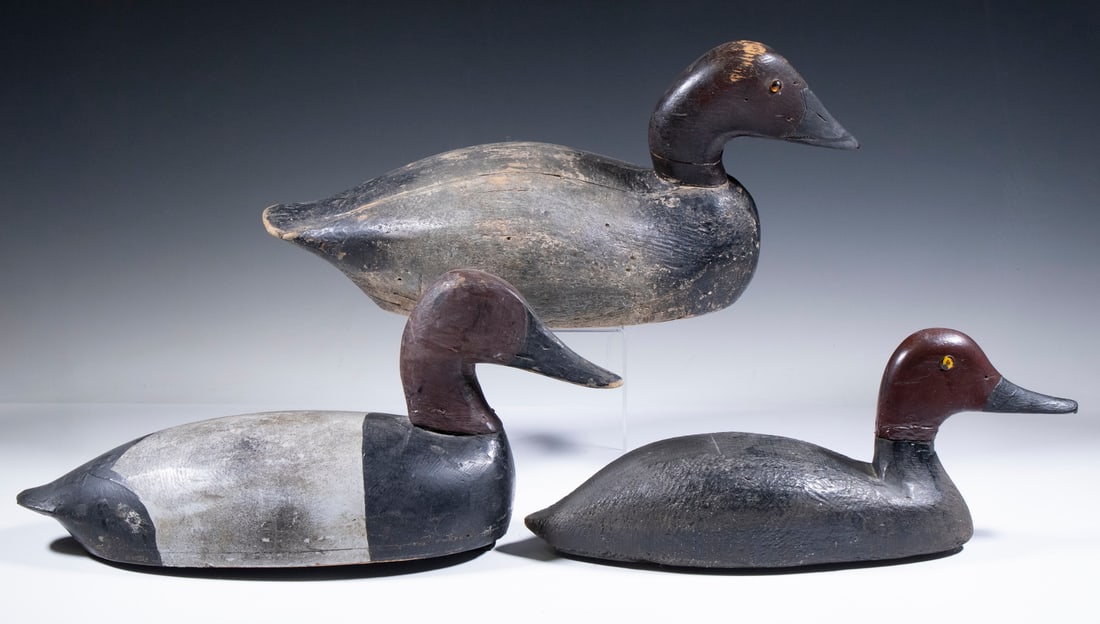 (3) ONTARIO DUCK DECOYS: Group of (3), including (2) Canvasbacks and (1) Redhead, all showing signs of use, 15" to 17" long.
