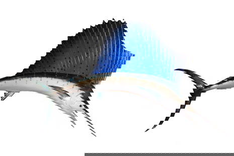 1956 TAXIDERMY FISH MOUNT BY AL PFLUEGER, FL: Sailfish, wall hanger, 56" (4'-8") long. Labels on damaged crate identified Taxidermist Al Pflueger (1903-1962) of 15900 E. 6th Ave, North Miami, Florida; he was a Member of the Taxidermy Hall of Fame