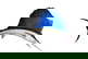 item-207047804=1