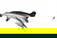 item-207047805=1