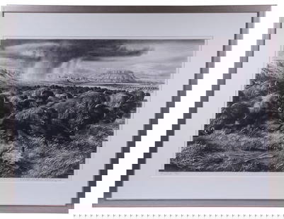WALTER DUBOIS RICHARDS (CT/OH, 1907-2006): Buffalo, stone lithograph depicting a limitless herd running from a rainstorm in the buttes, monogrammed in the print, also pencil signed with title and 16/65, in silver box frame, matted under UV ple