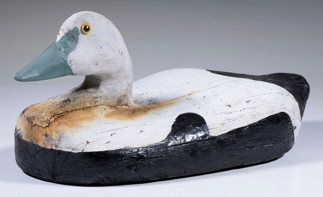 EIDER DUCK WORKING DECOY: Carved and Painted Eider Drake, with glass eyes, unmarked, 6 1/2" high, 16" wide. Shrinkage cracks. Converted dimensions: 6 1/2 x 16 in. (16.5 x 40.6 cm.)