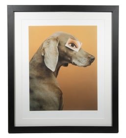 WILLIAM WEGMAN (CA/MA, 1943 - )