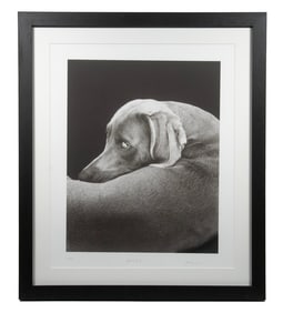 WILLIAM WEGMAN (CA/MA, 1943 - )