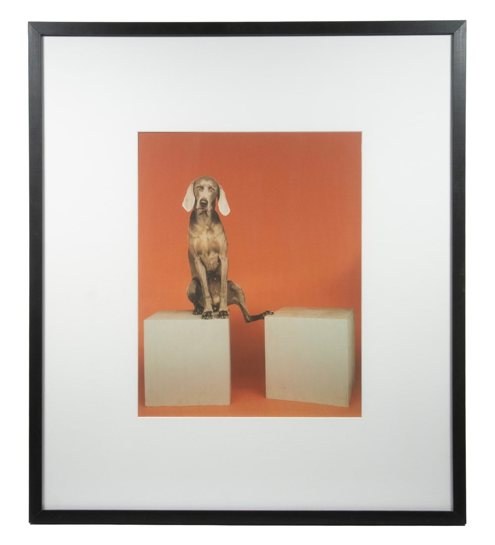 WILLIAM WEGMAN (CA/MA, 1943 - ): Connector, color litho from the original photo of 1994, unsigned, in black box frame, matted under glass. Converted dimensions: Sight: 18 x 14 in. (45.7 x 35.6 cm.) Frame: 32 x 27 1/2 in. (81.3 x 69.9