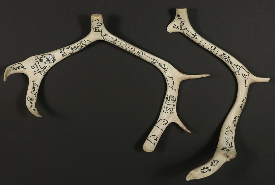 SHOONA ARAGUTAK (KUUJJUARAOI, QUEBEC, 1928 - ): Pair of Small Caribou Antlers, engraved and inked with scenes of sledding, hunting, and wildlife, both signed, roughly 16" long. Good condition. Converted dimensions: Length(approx.): 16 in. (40.6 cm.