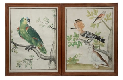 PAIR OF 18TH C. ORNITHOLOGICAL WATERCOLORS, FRAMED