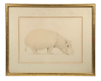ORIGINAL WATERCOLOR OF A HIPPO