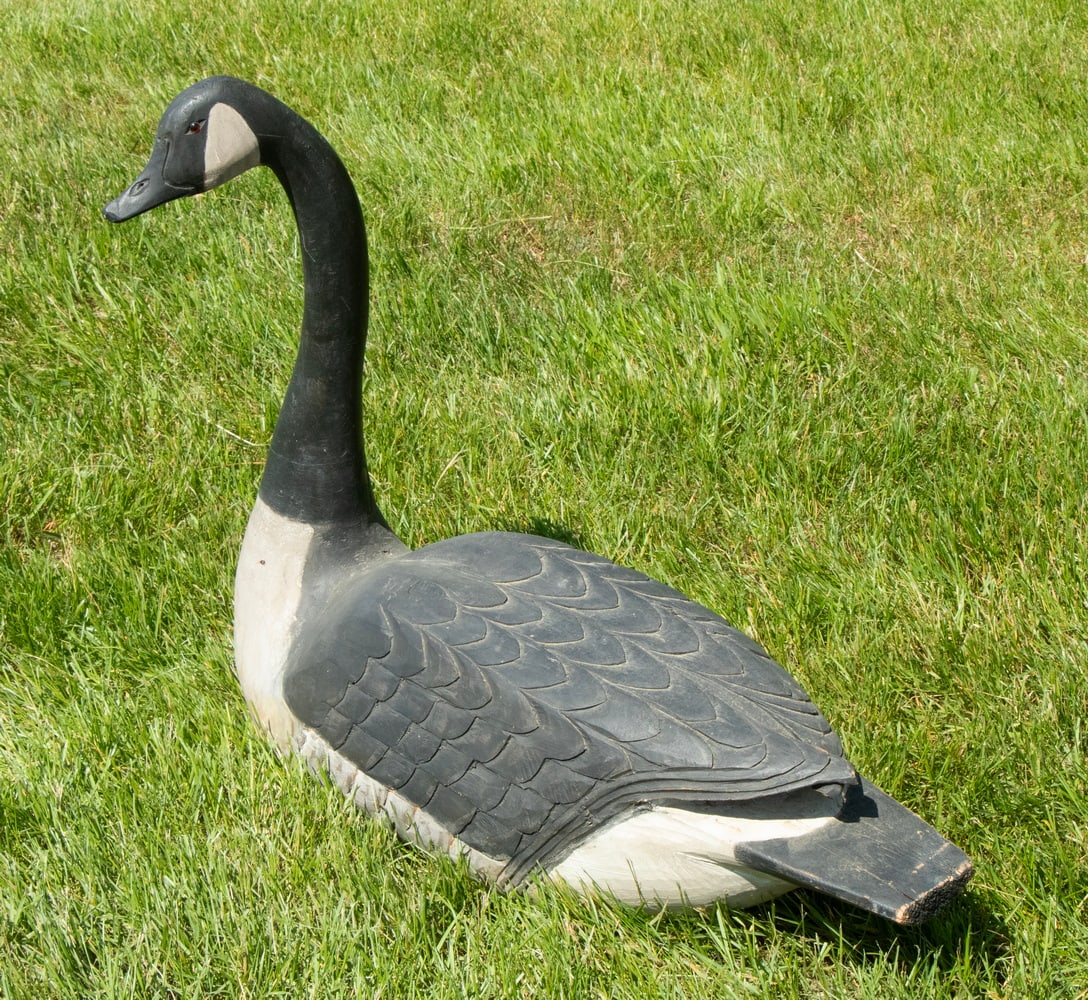 LIFE-SIZE CARVED AND PAINTED CANADA GOOSE DECOY (1 of 3)