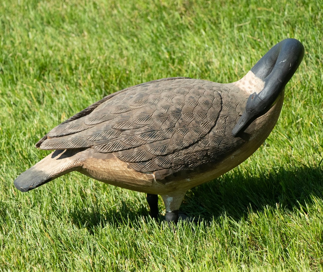LIFE-SIZE CARVED CANADA GOOSE DECOY IN PREENING POSE (1 of 4)
