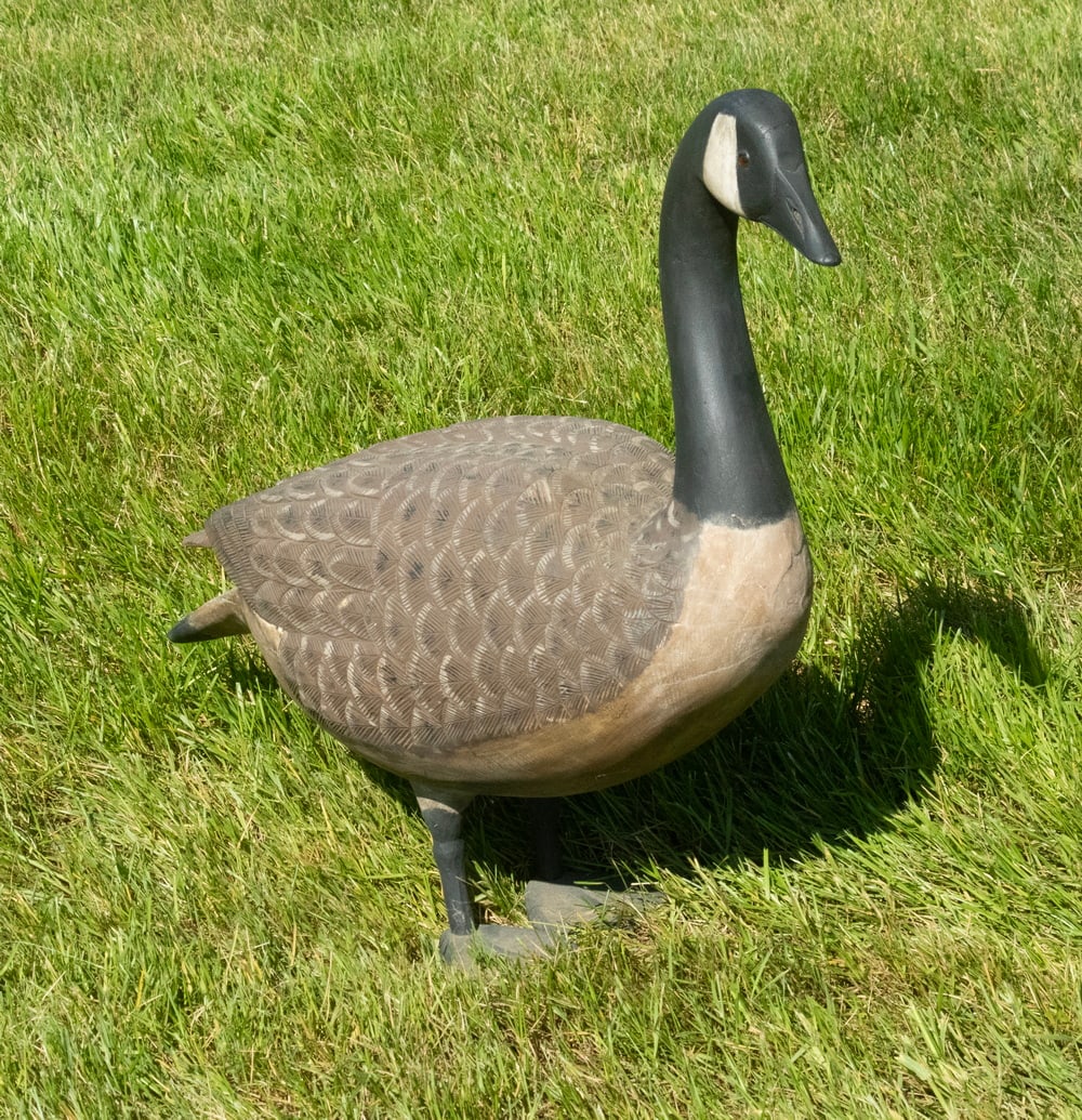 LIFE-SIZE CARVED CANADA GOOSE DECOY WITH UPRIGHT POSTURE (1 of 3)