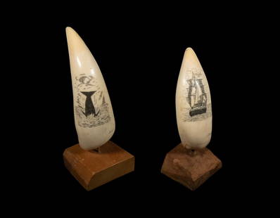 SCRIMSHAW WHALE TEETH SIGNED DIAZ: Lot of (2) Circa 1970s Scrimshaw Decorated Teeth, one depicting a three-mast sailing ship (4" high tooth) and the other a diving whale (4 3/4" high), both signed "Diaz" (possibly for Jose Diaz of the